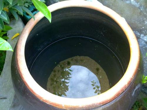 缸里的水图片来源网络