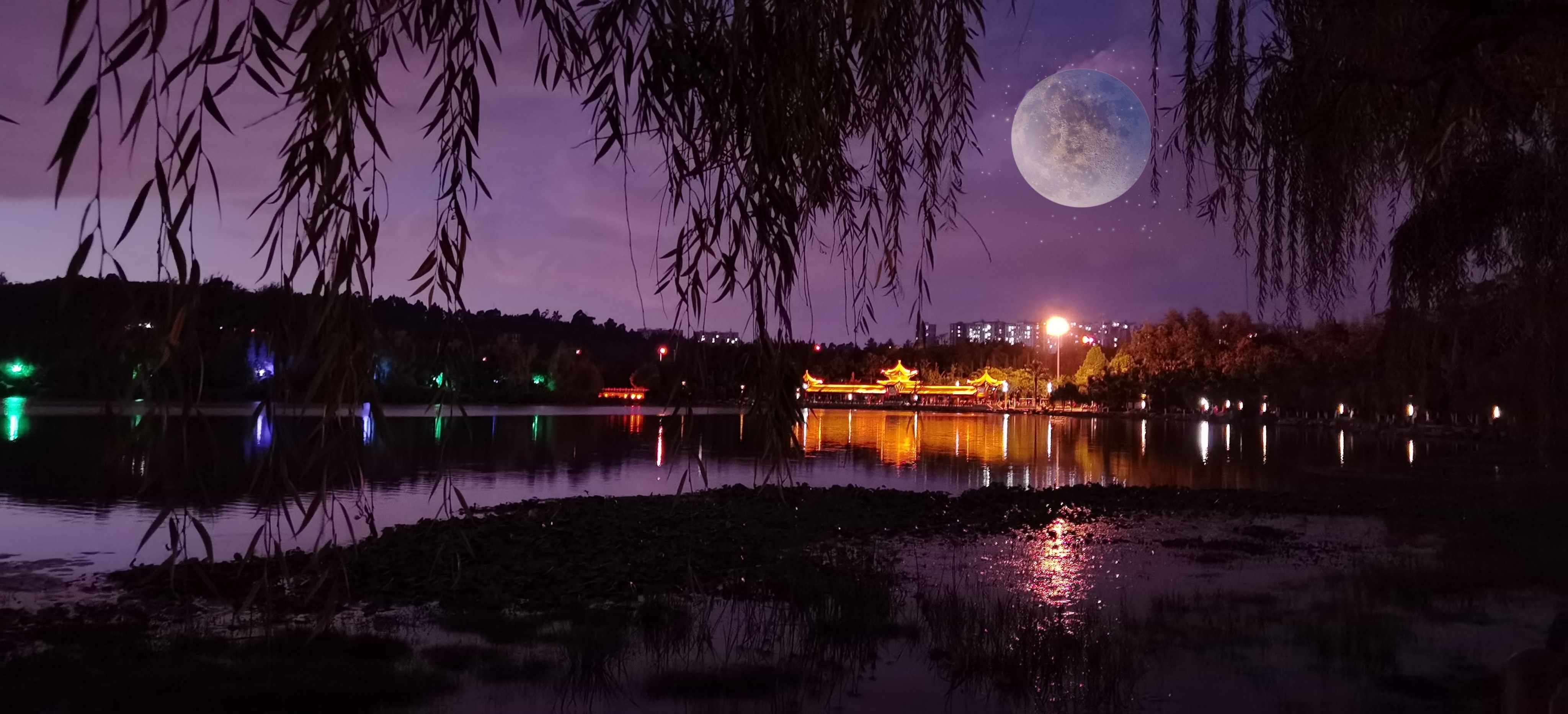 千树霓虹流光转, 万家灯火照无眠.