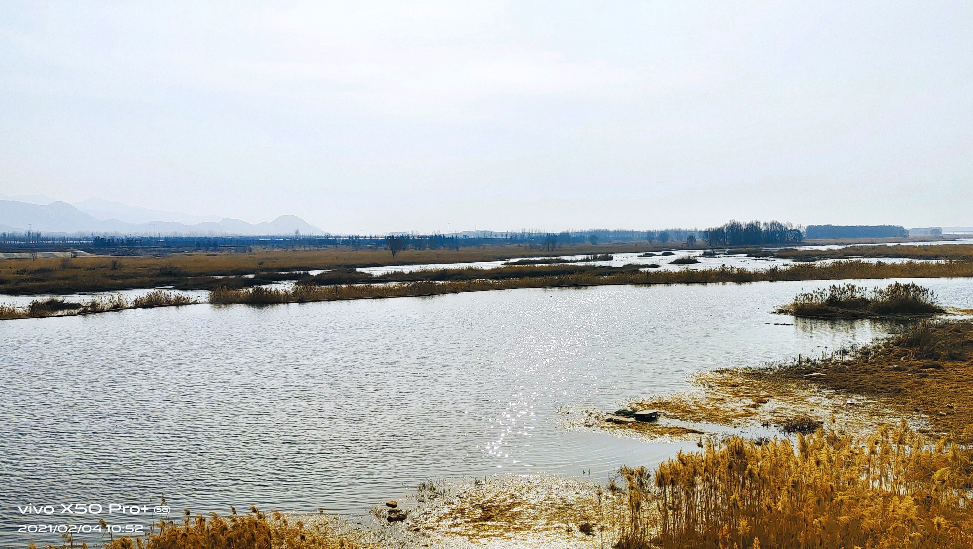 沂南汶河湿地公园照片图片