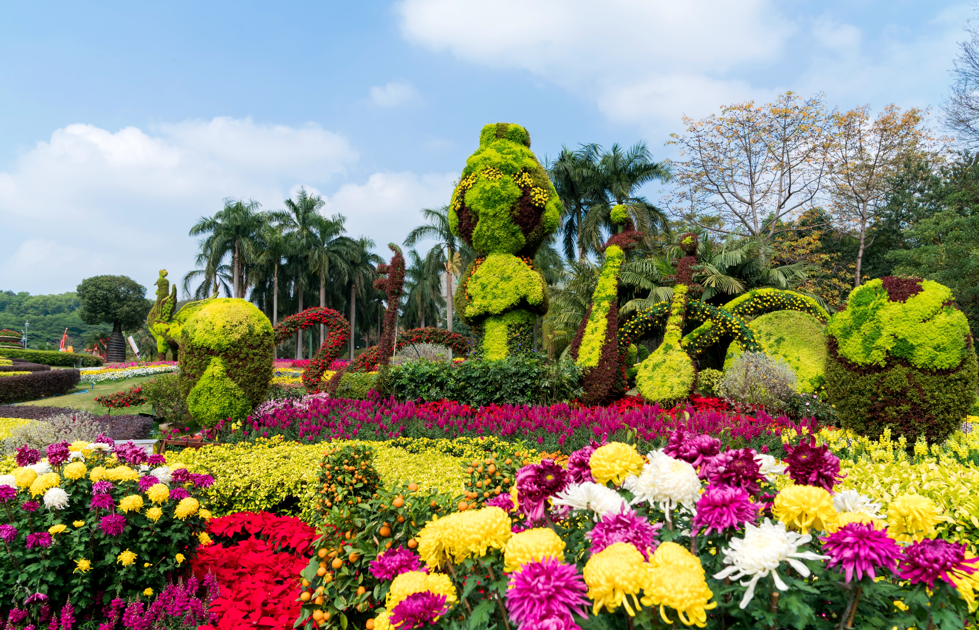 广州过年—花城看花【摄影首发】