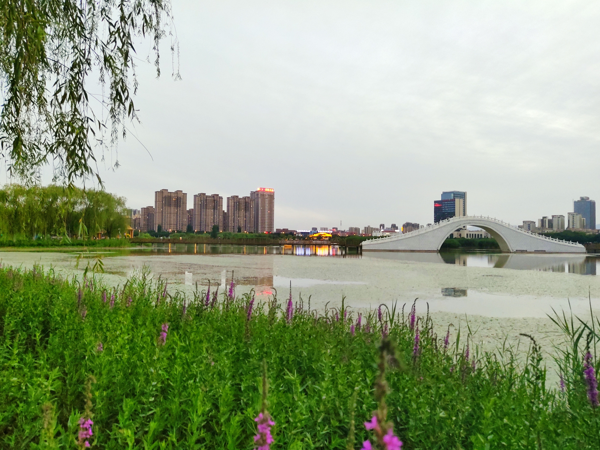 银川市金风区宝湖公园摄影.