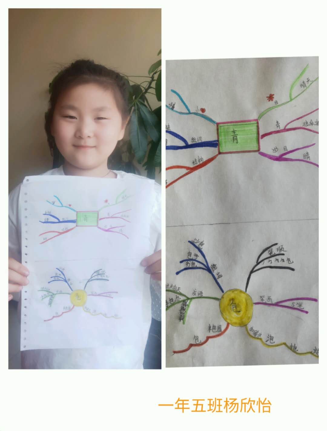 【班记】一年五班用思维导图引领学生轻松踏上形声字识字之旅