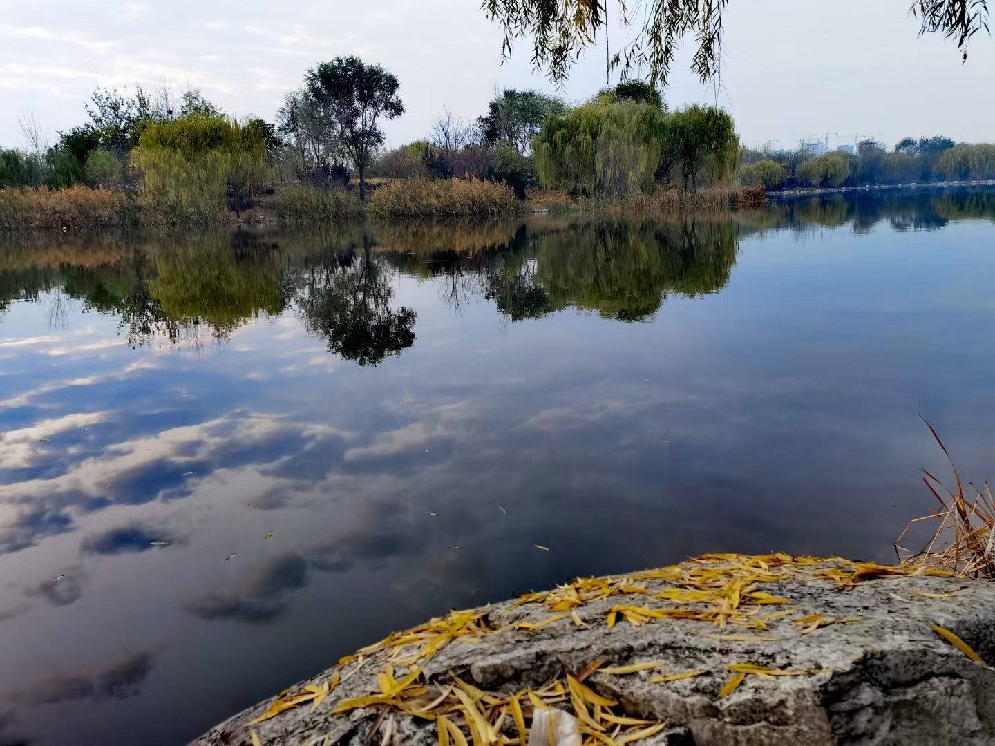 「首发」梦里的清泉湖