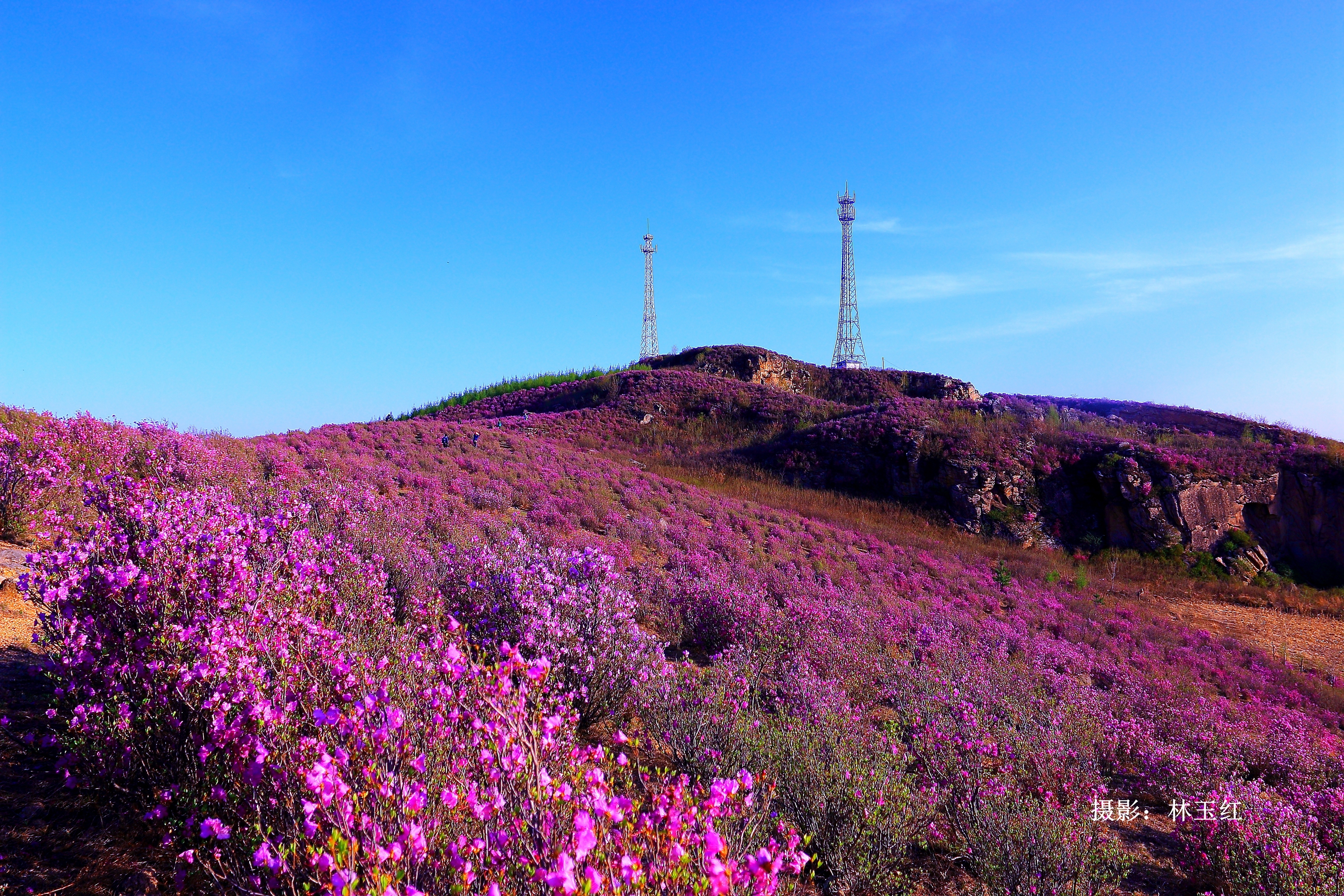 庆祝新中国成立70周年暨喜迎海林撤县建市市民节,海林市影像档案摄影