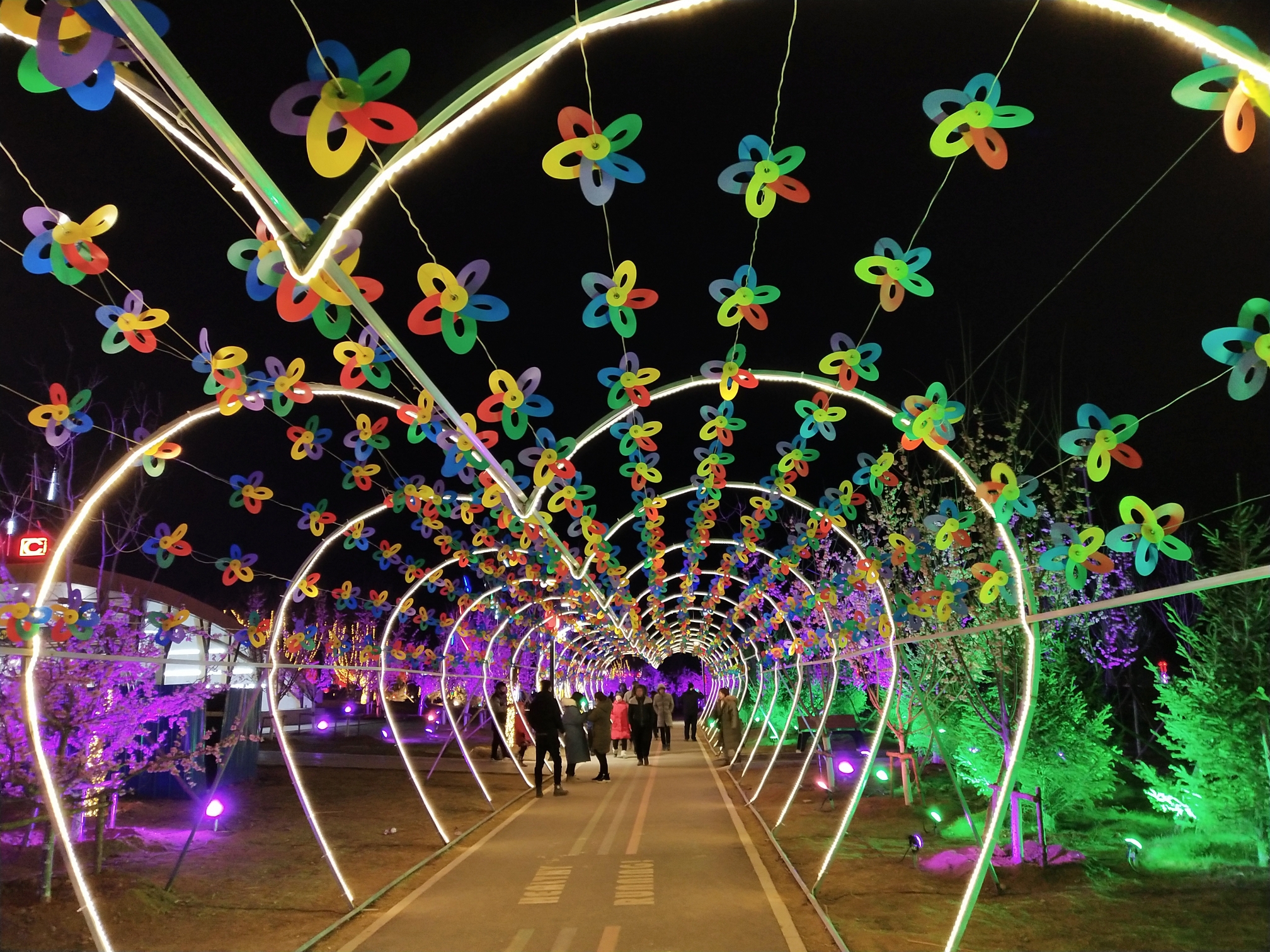 参观沈阳七星公园灯会一样的年景不一样的感觉制作雅馨