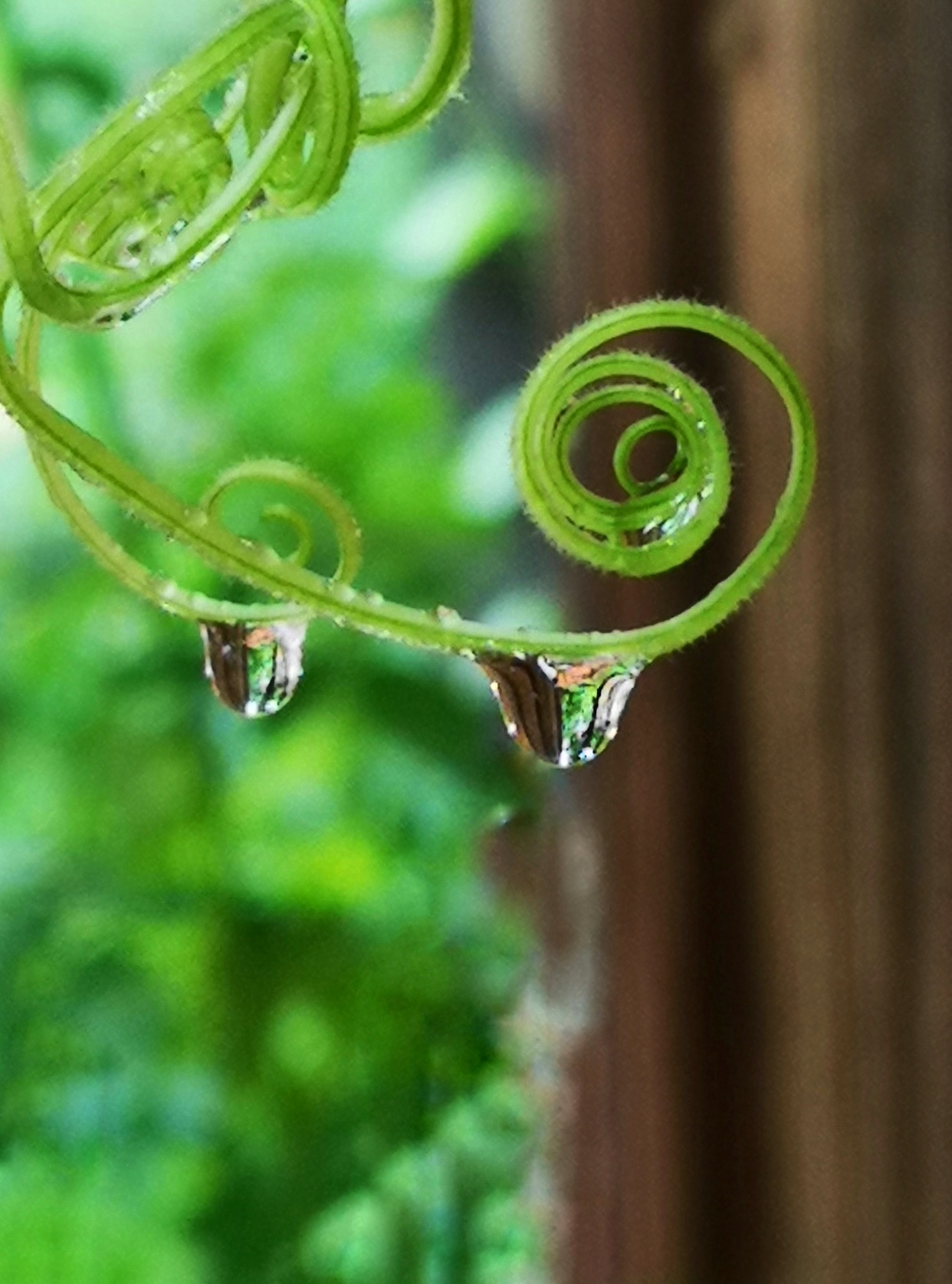 雨,滴滴答答的下着,慢慢地浸湿了天,浸湿地也浸湿了人的心情.