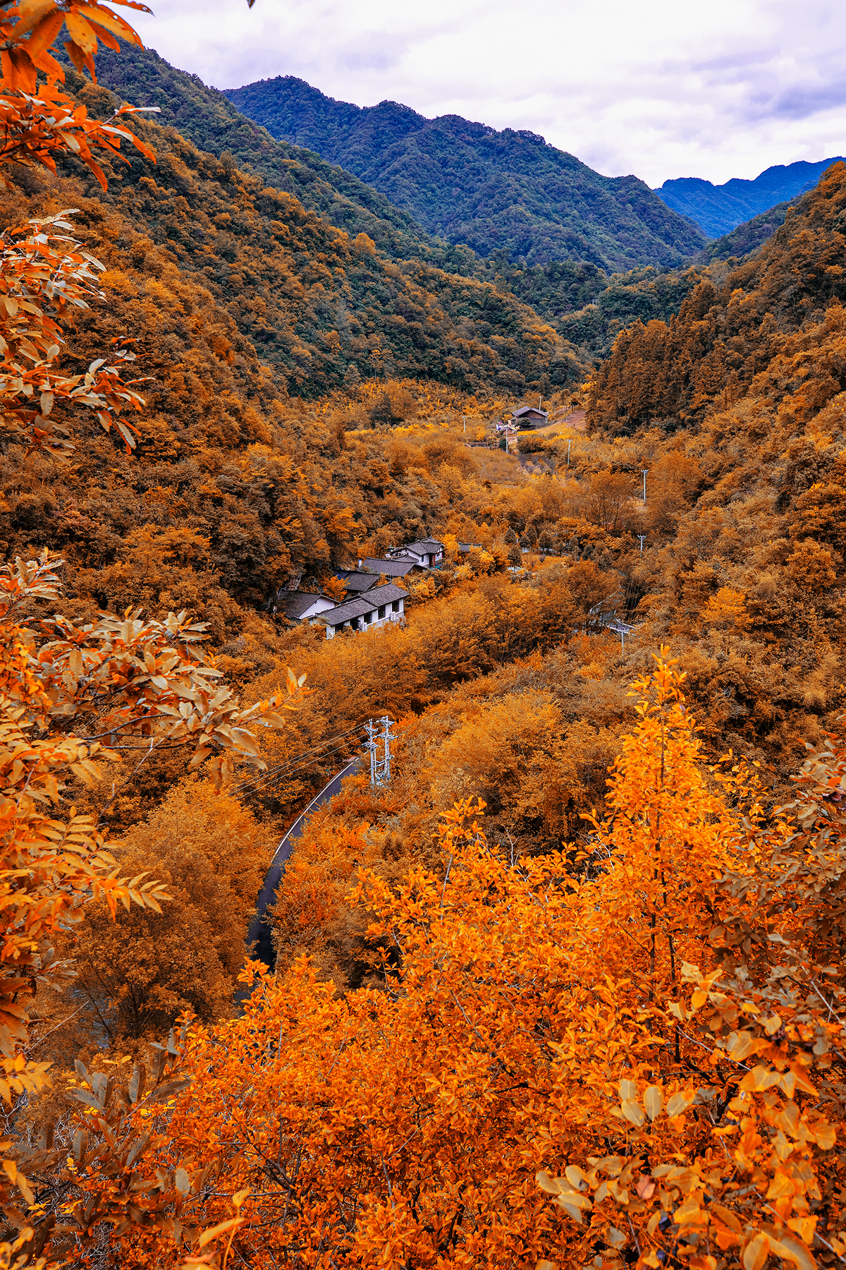 摄影:依恋草原(王志强)苏州