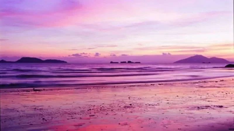 世界上最美的紫色沙滩图片
