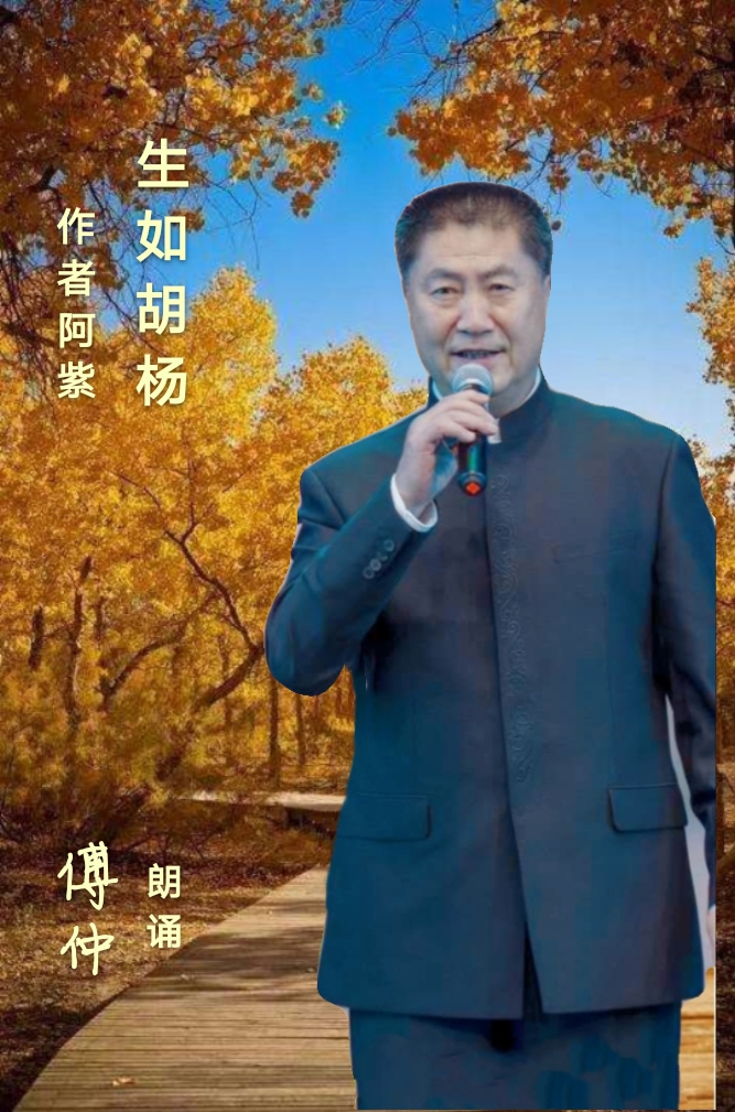 阿紫簡介:阿紫 中國當代著名詩人,詞作家,朗誦表演藝術家.