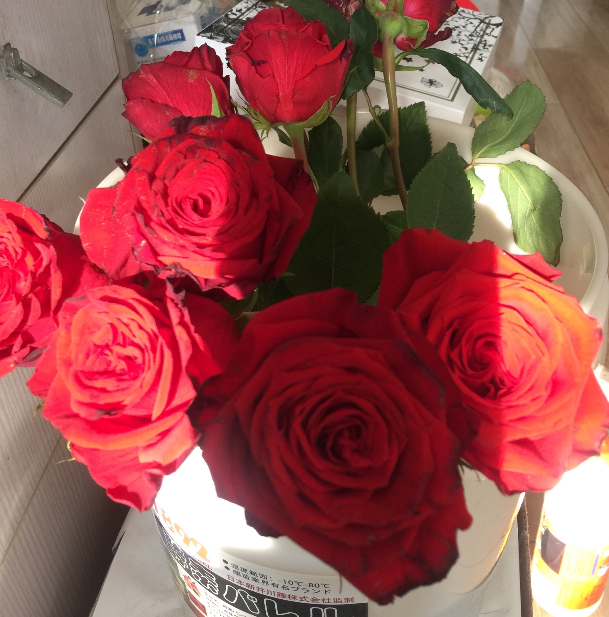 自家养的鲜花,像鲜花那样,让主日日更新自己