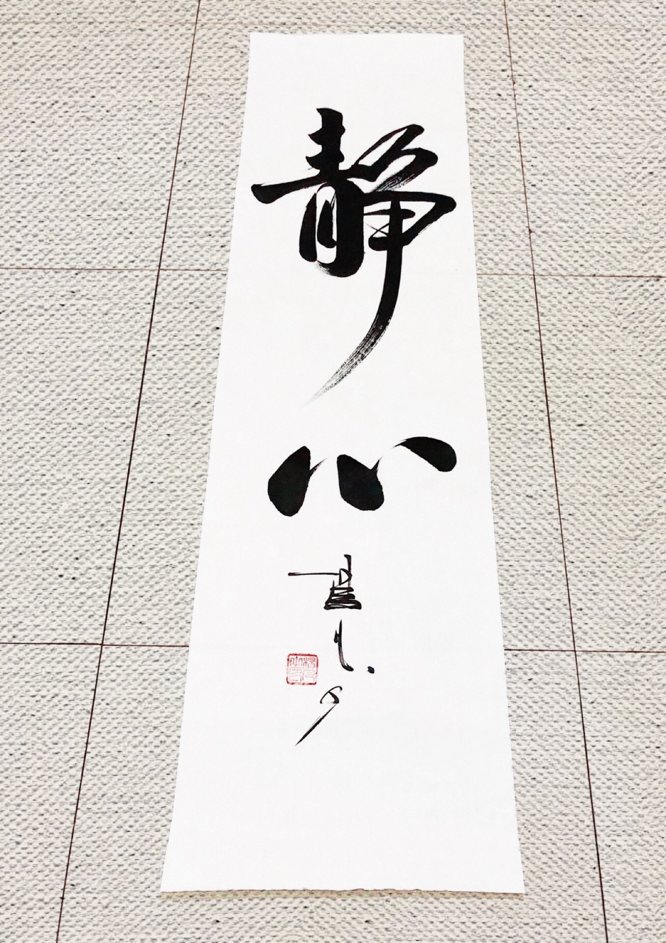 书法家杨凡作品|静心