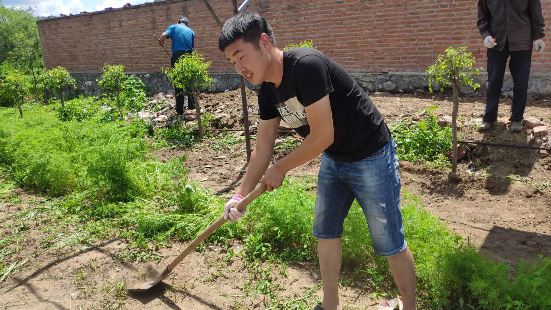 资金不足,我们干劲儿足!西场村变化在2020