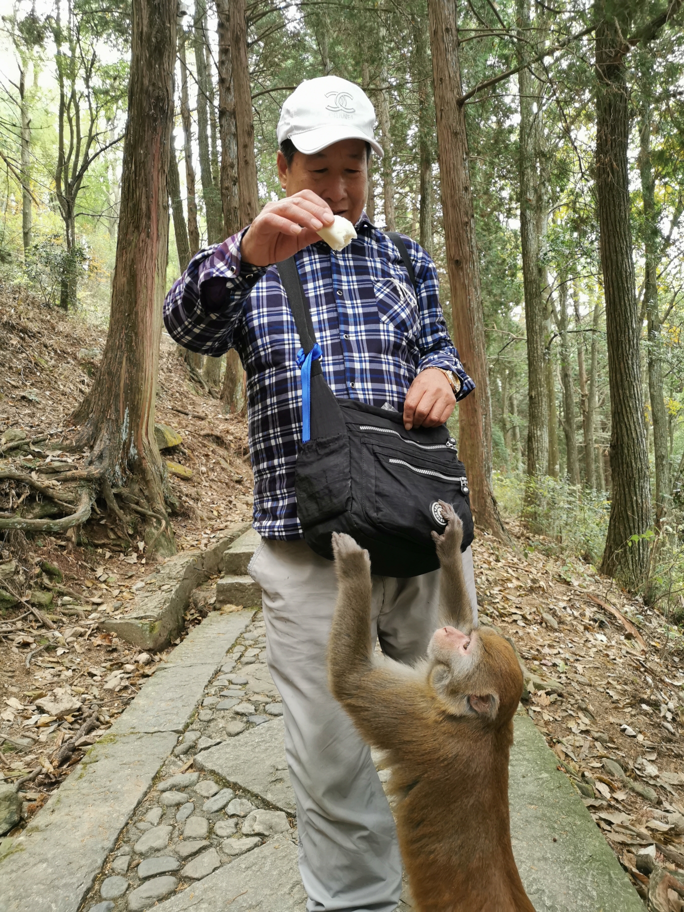 游江西庐山美景!