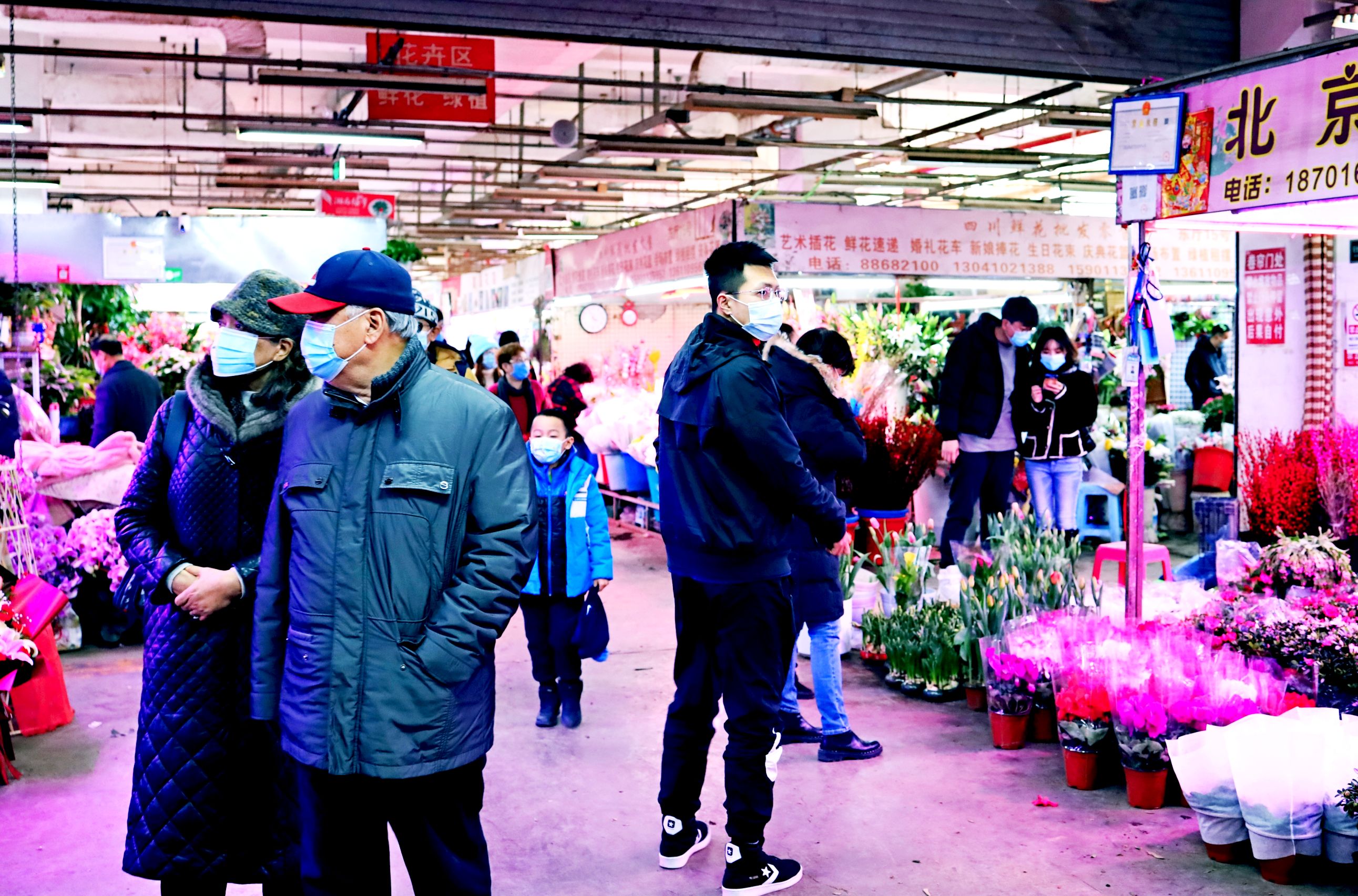 首发热闹的玉泉路花卉市场