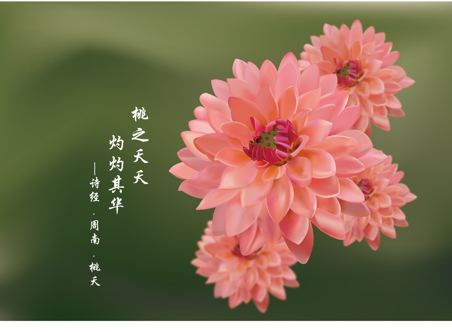 爱入尘埃,心有花开.