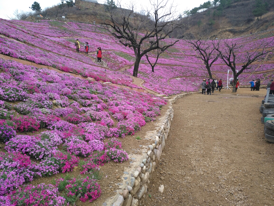 迁安雨花谷图片