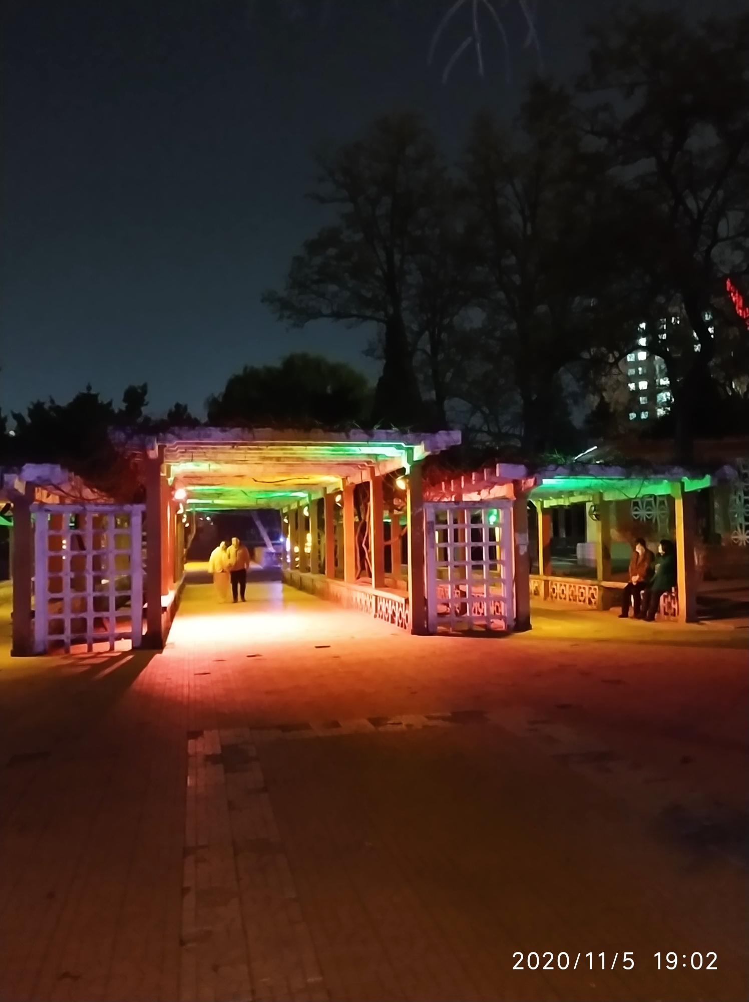 街心花园的小夜景