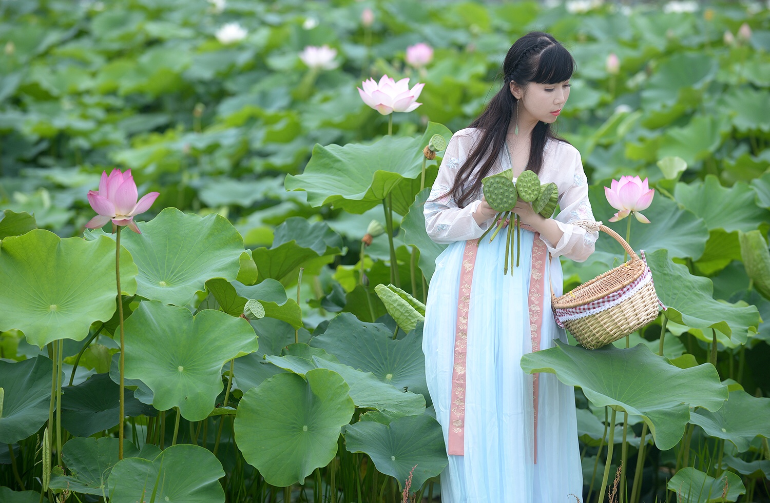 闻香知是采莲来