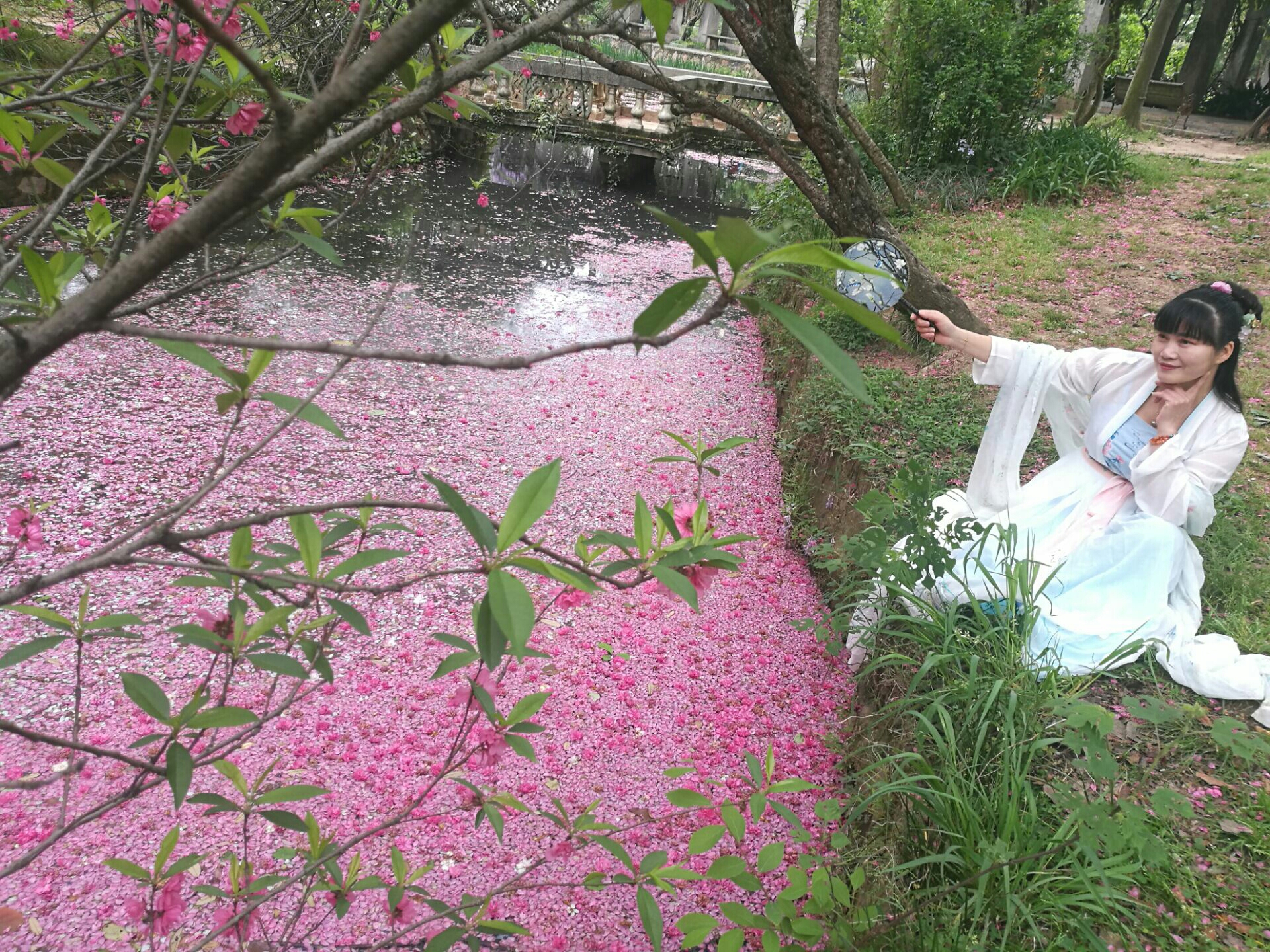 见过花开.你见过花落吗?