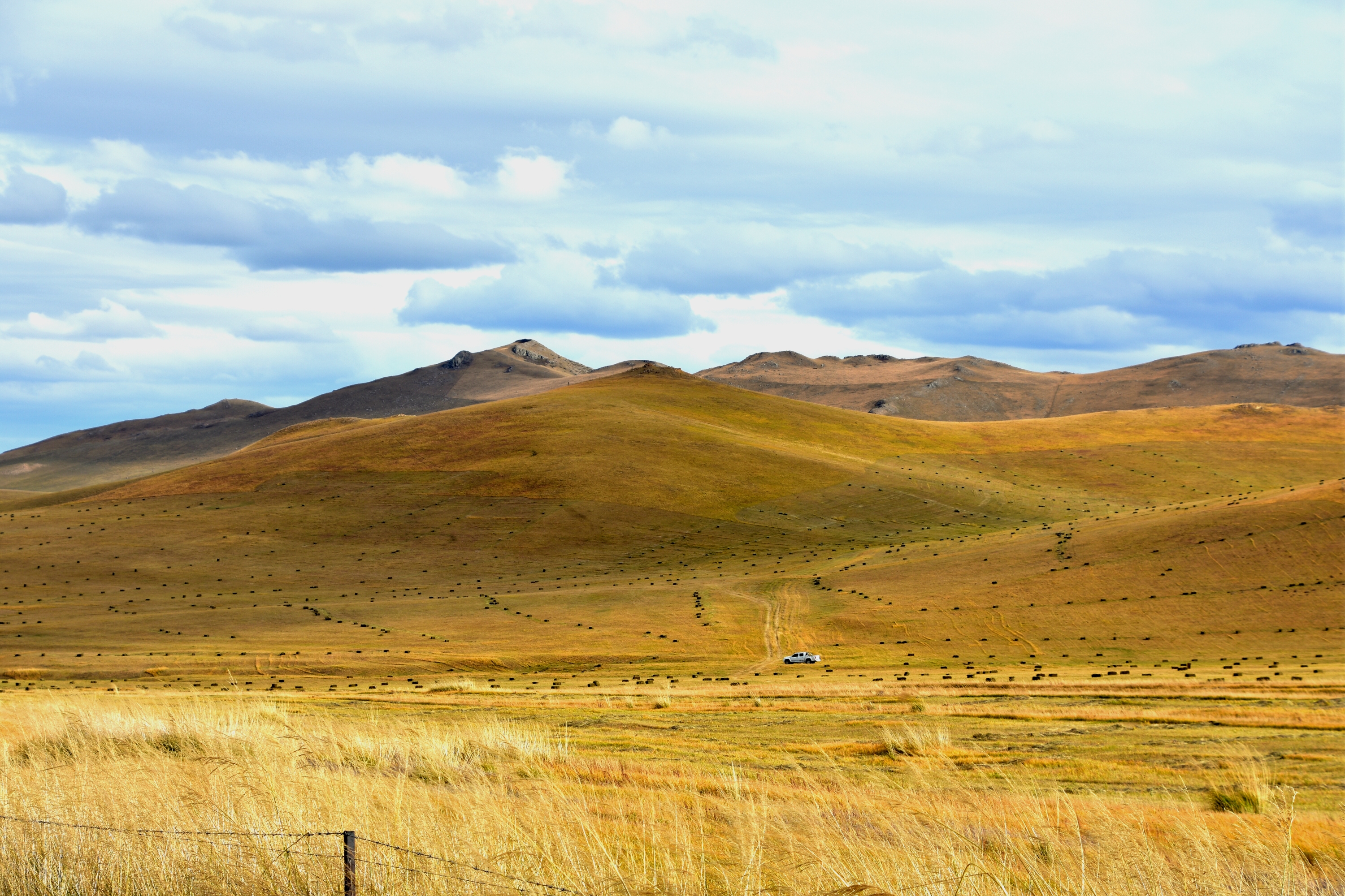荒漠草原及高寒草原等分类,如坝上草原与呼伦贝尔大草原,风格风景就各
