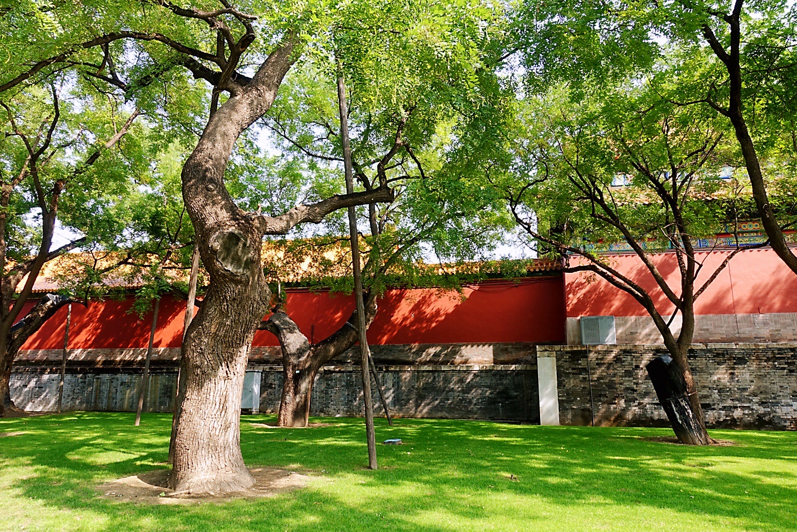 故宫见闻之三断虹桥十八槐