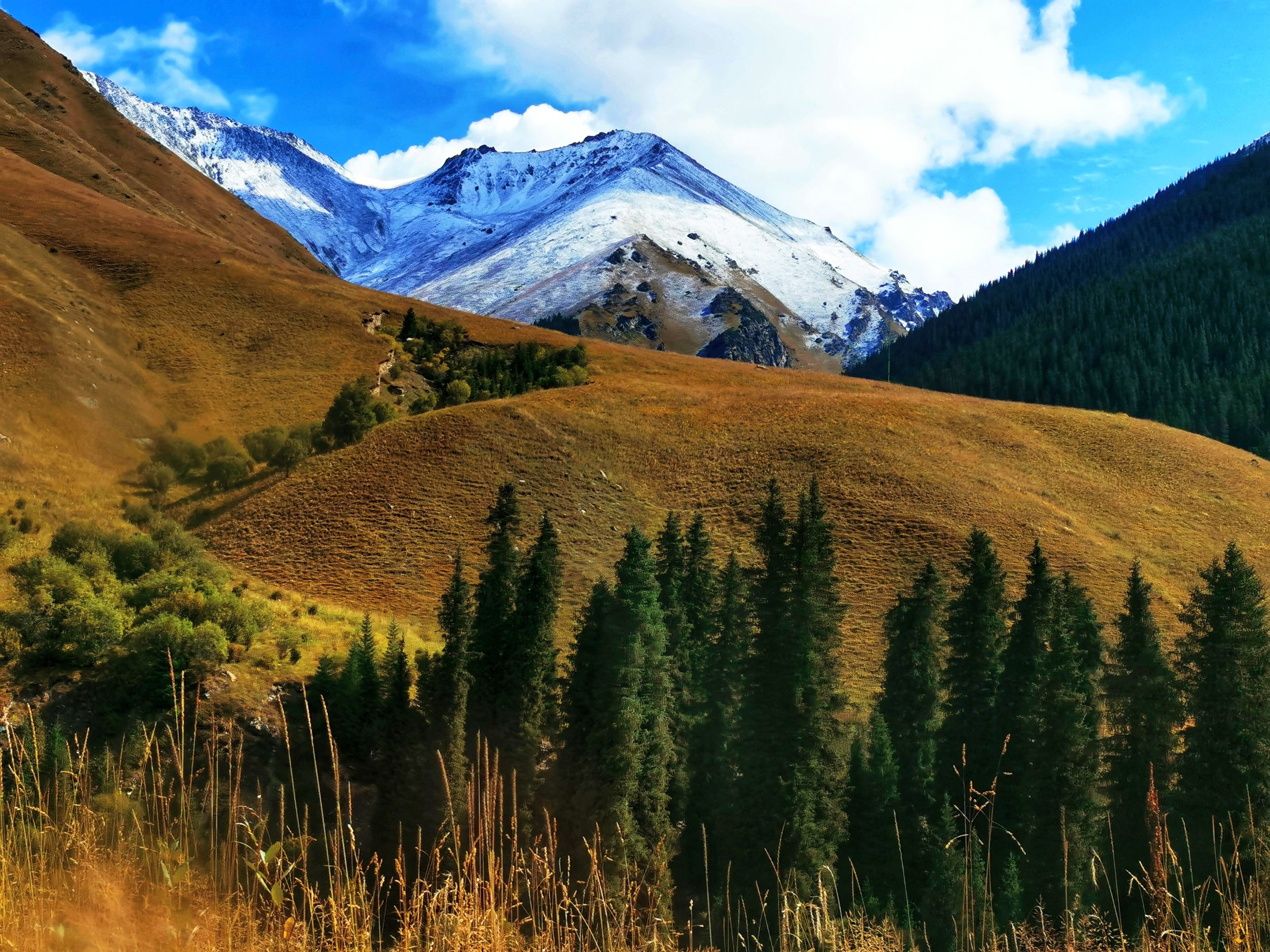 伊犁河谷乌孙国61昭苏夏塔天马古道