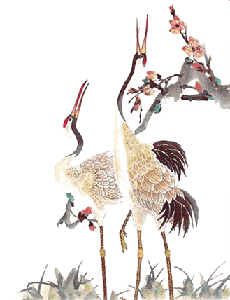 329_428竖版 竖屏gif 动态图 动图