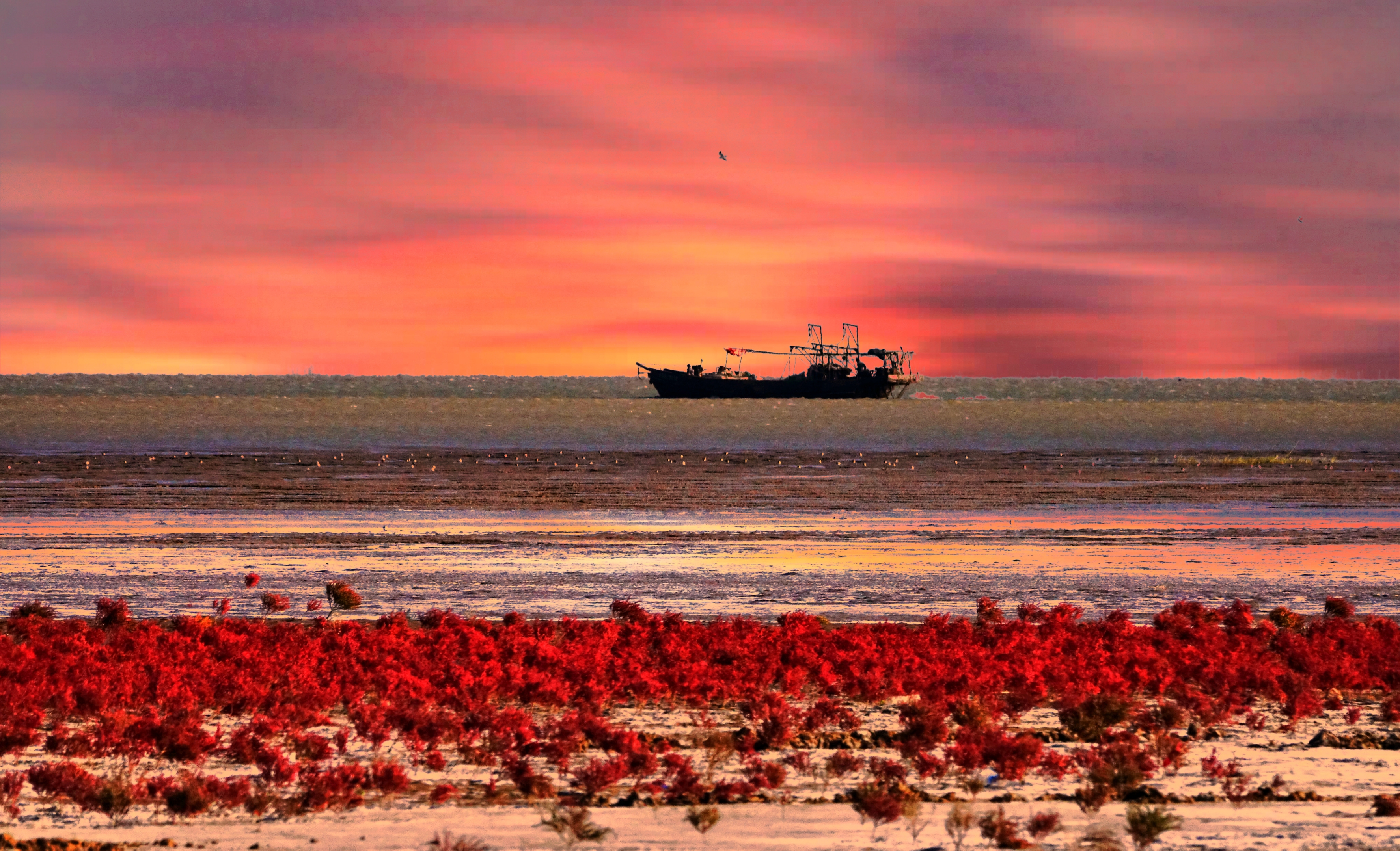 [文声汇影]微信摄影风景合辑第二十六期