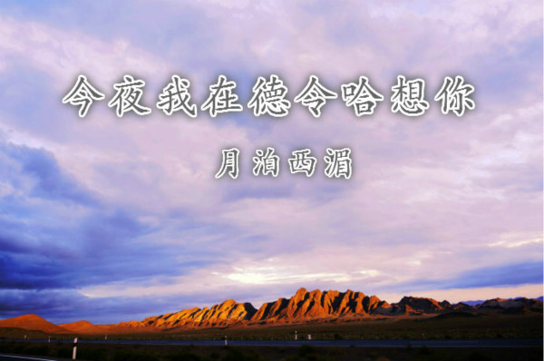 今夜我在德令哈想你作者月泊西湄