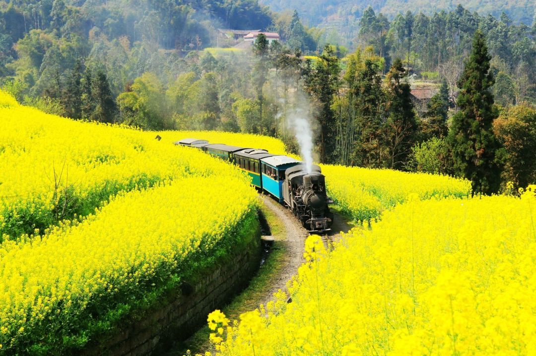 听二月是一辆开往春天的列车09