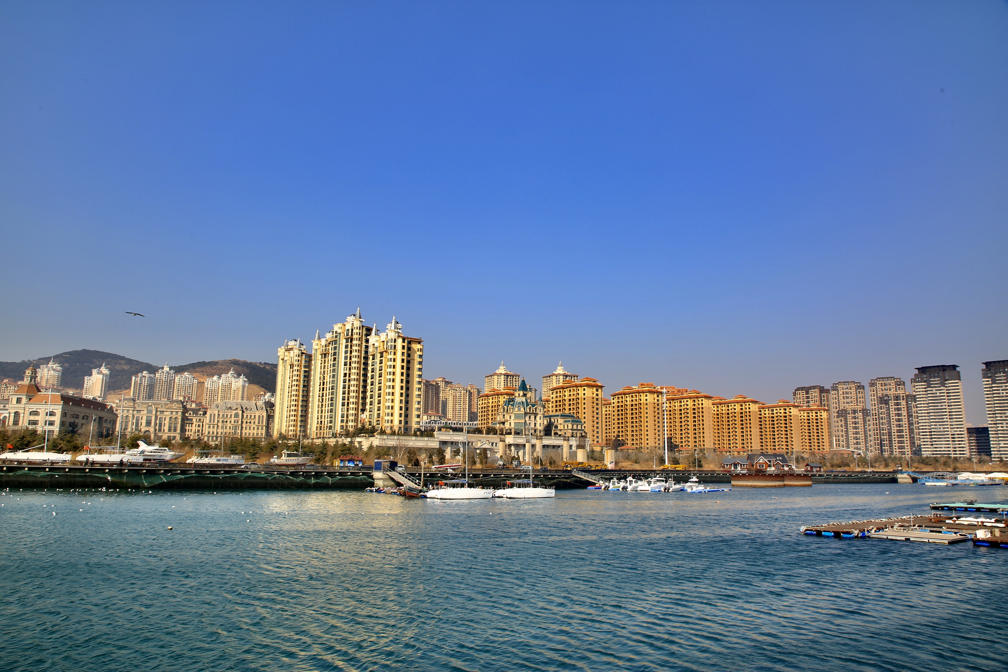 早春二月大连海湾春意盎然