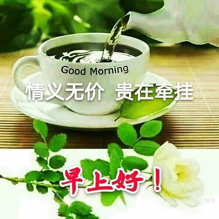 问候你一一一问候语集锦(八)