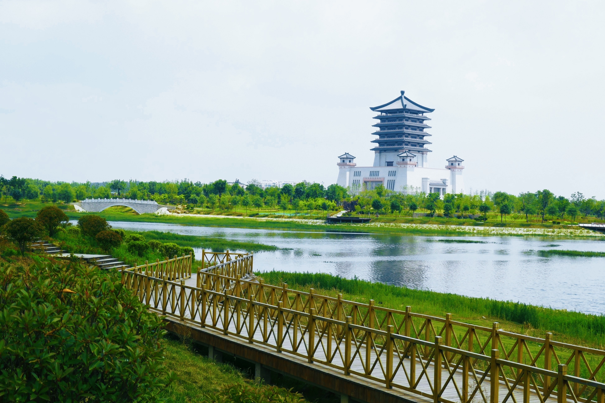 初夏,泰安汶河国家湿地公园,景色宜人.