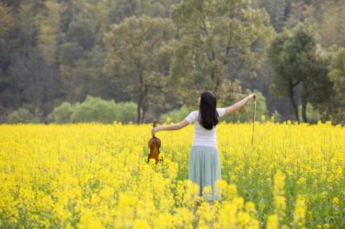 《拥抱春天》作者:翰墨诗林朗诵:红笺小字