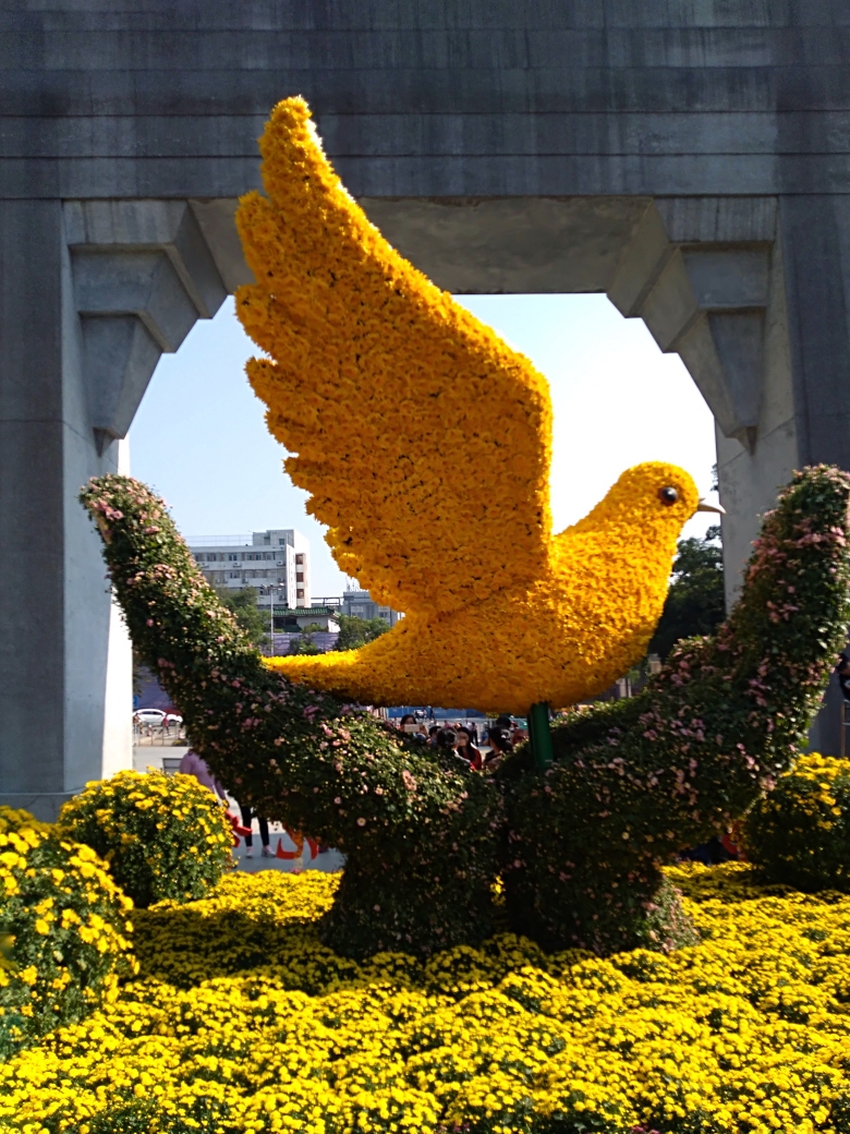 廣州黃花崗公園2018第四屆黃花文化節掠影(2018.11.23.