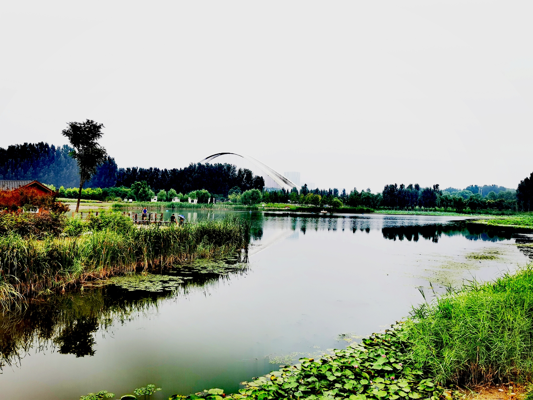 湖南郴州滨河公园图片
