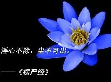 邪淫的13种果报