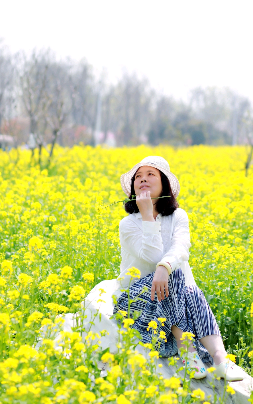 油菜花季的浪漫