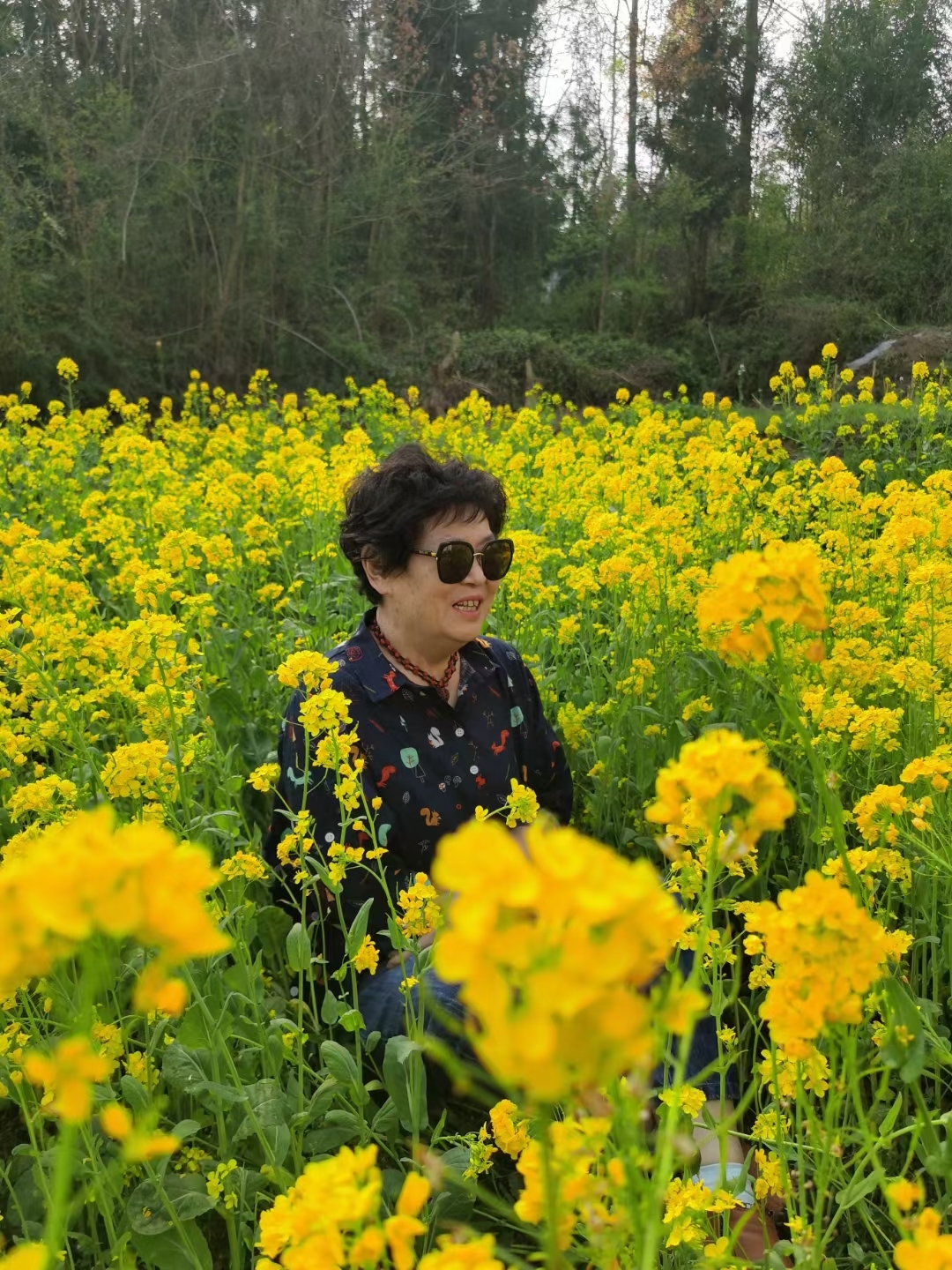 《烟雾绕岭》旅游篇走起(三)燕青阁诗友和诗(原创)