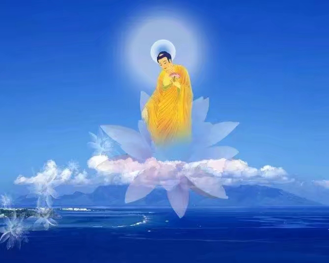 佛教12瓣莲花图片