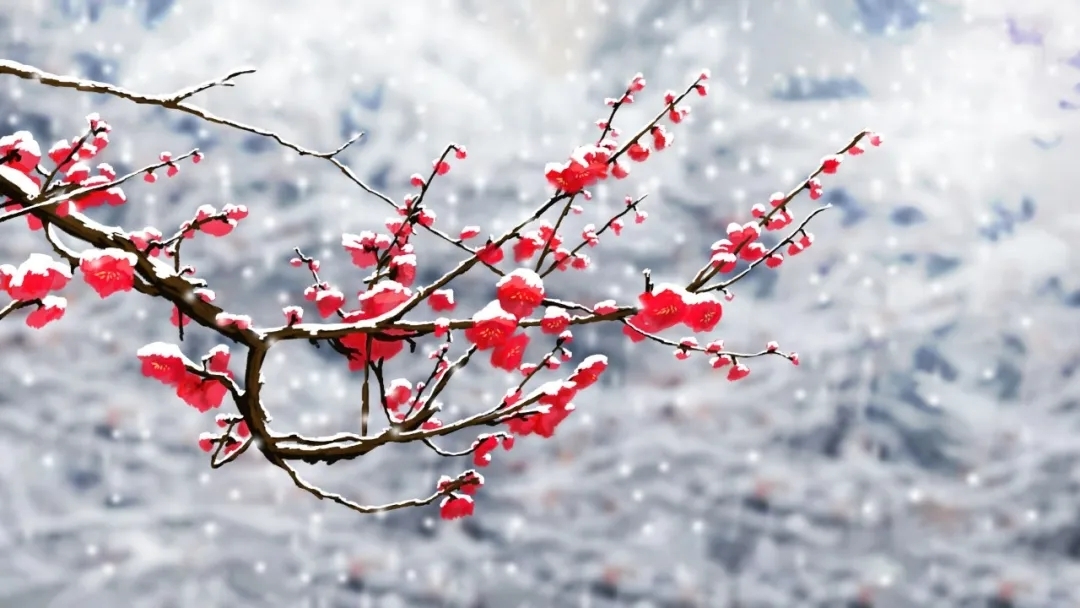 雪花飘飘 一剪寒梅图片