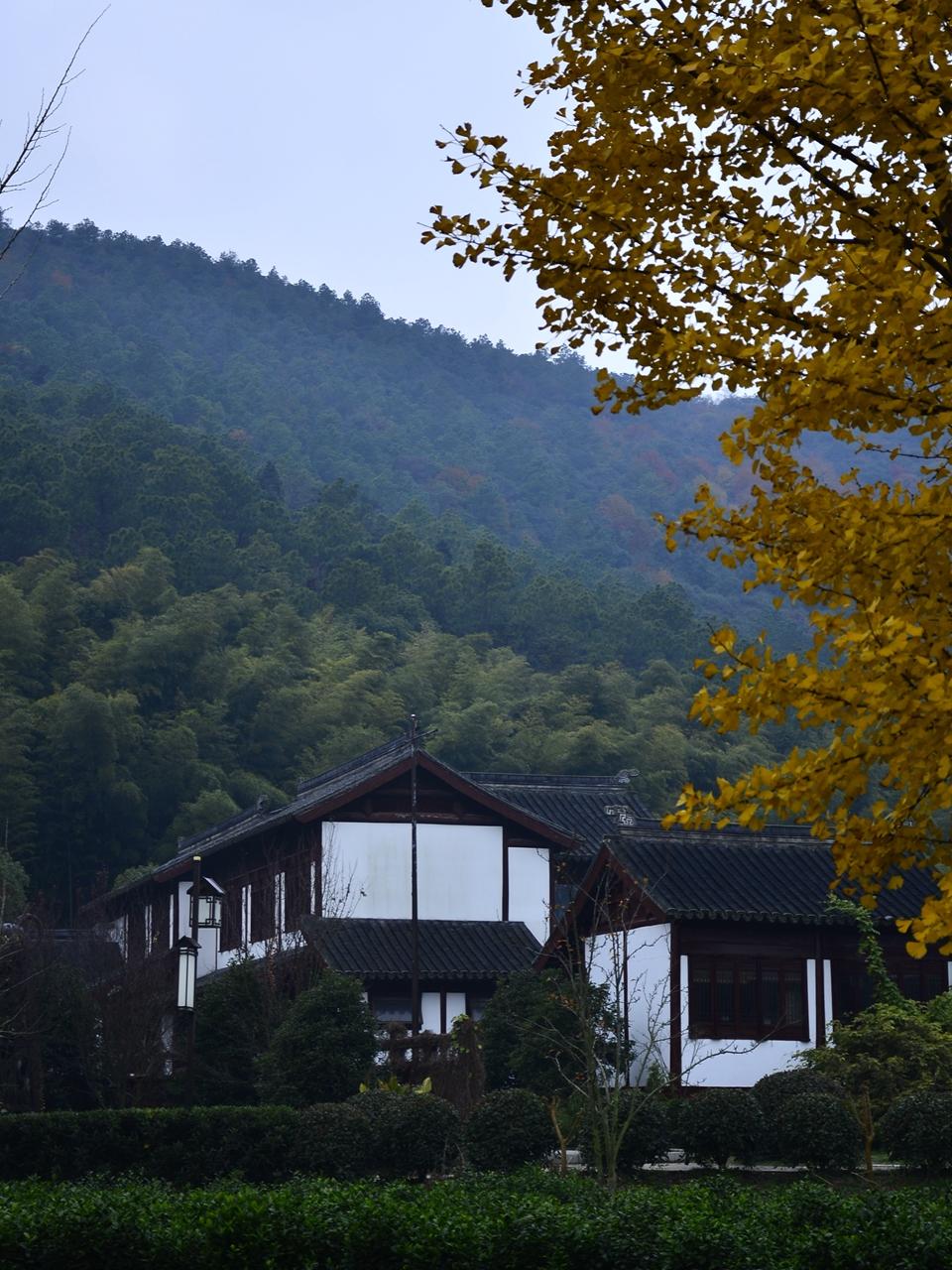 苏州旺山温泉度假村图片