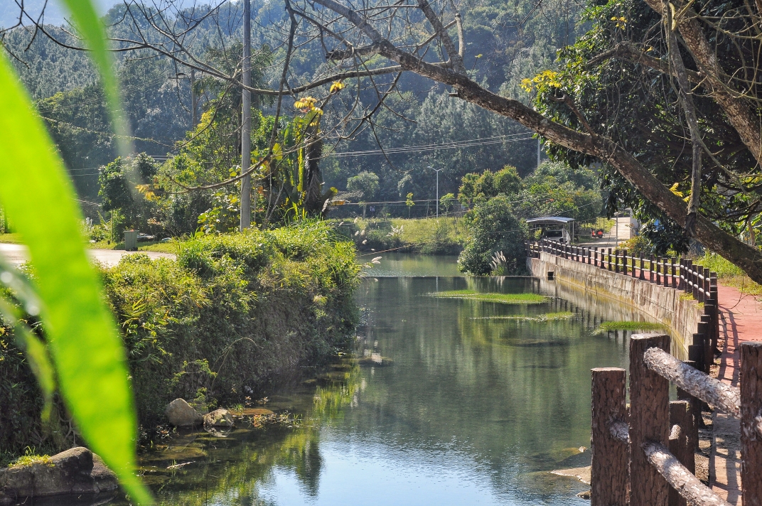 黎母山国家森林公园