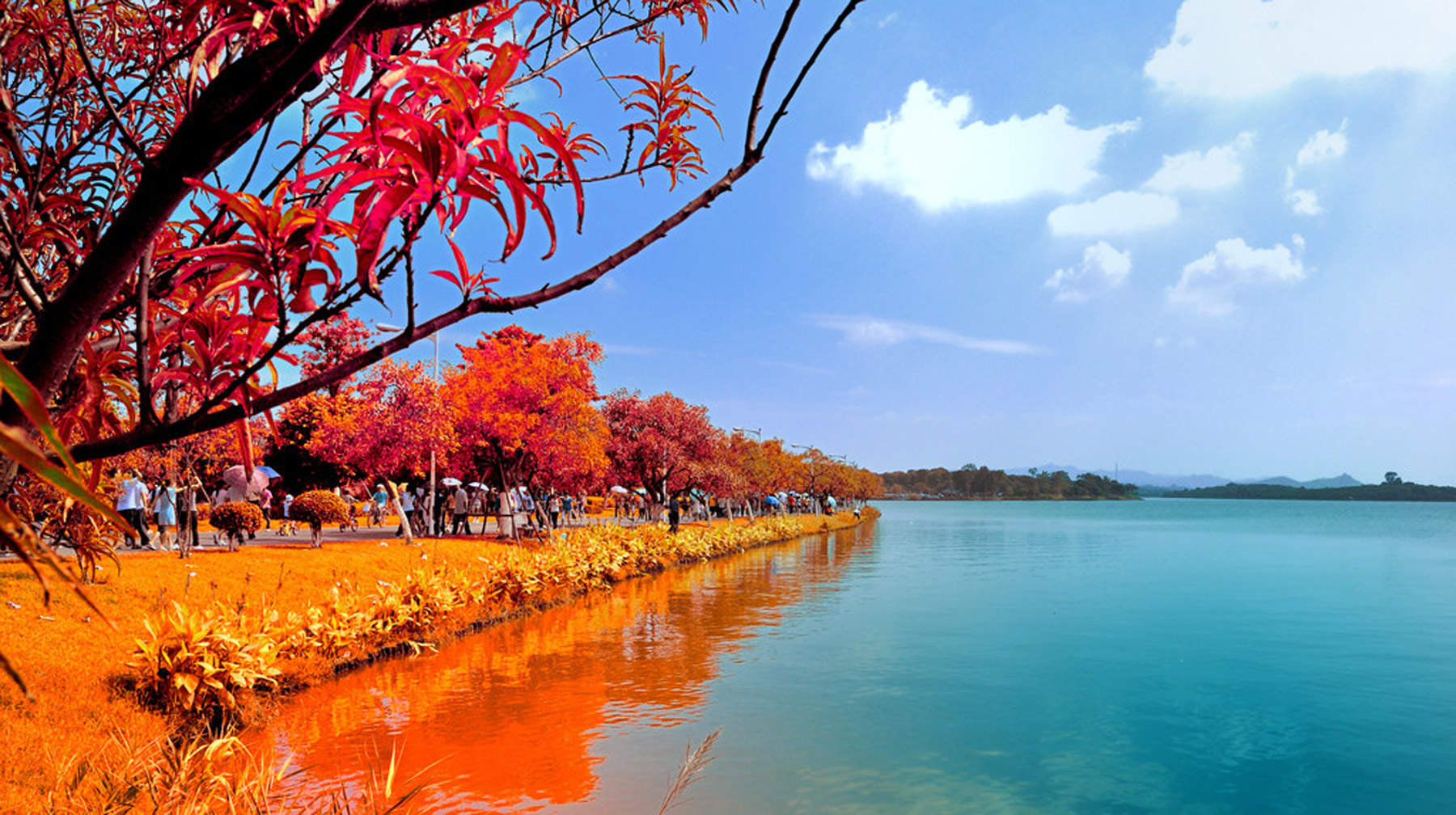 美丽的松山湖唯美图片图片