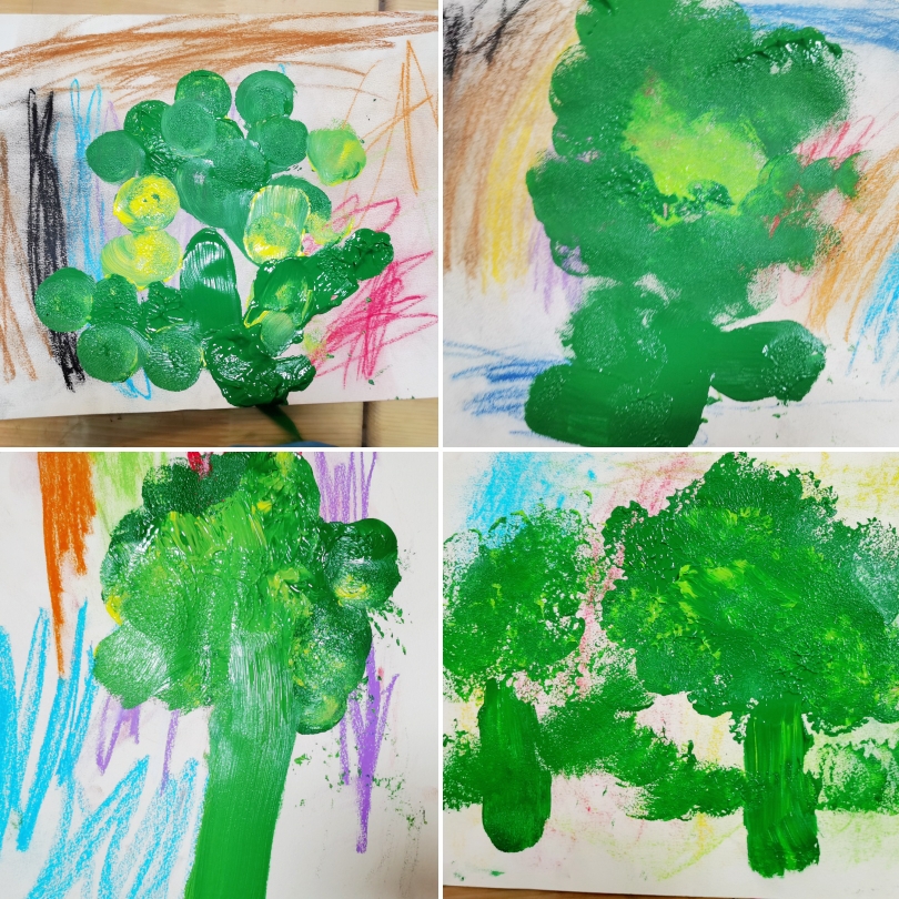 蔬菜皇冠—西兰花