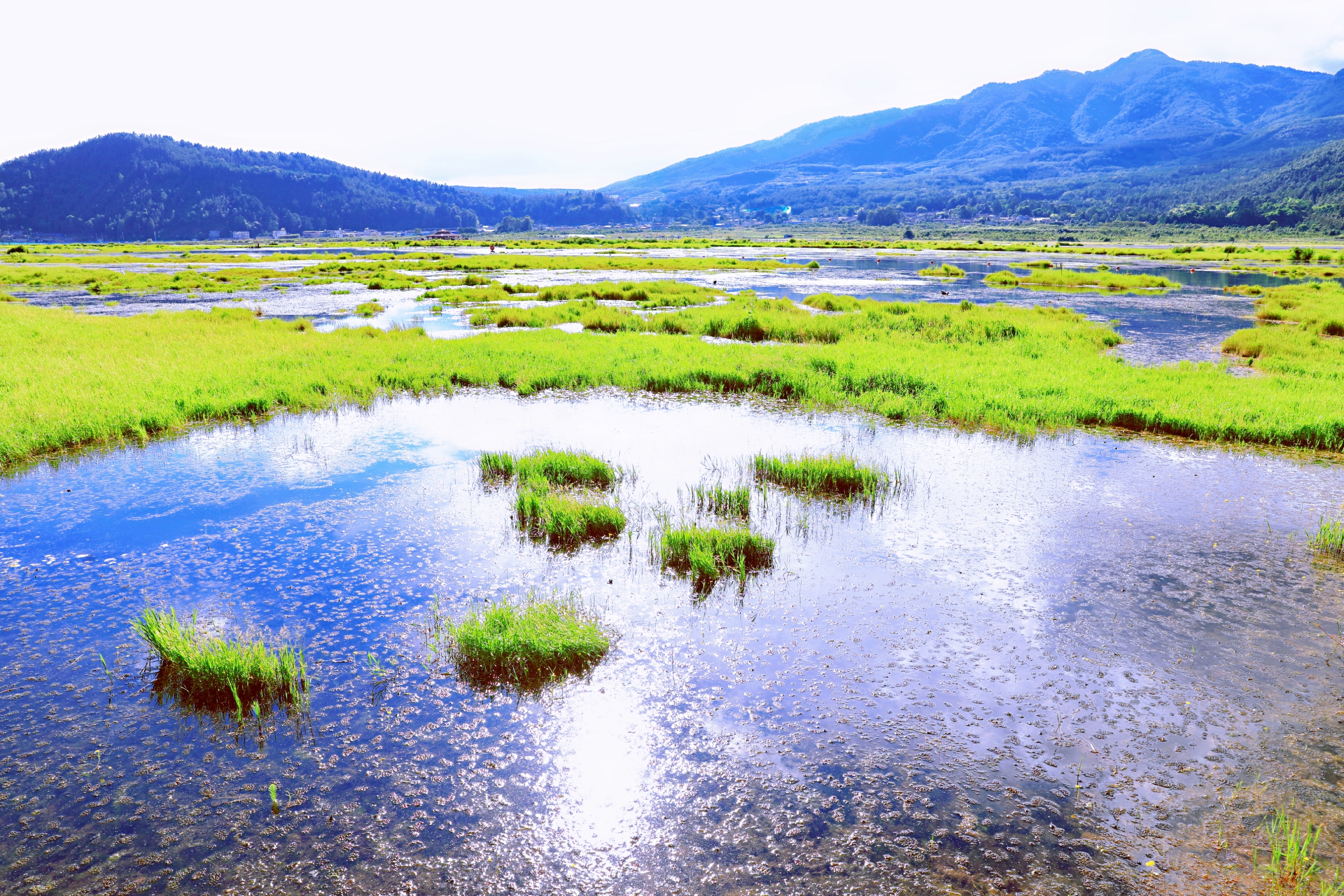 云南腾冲湿地风光