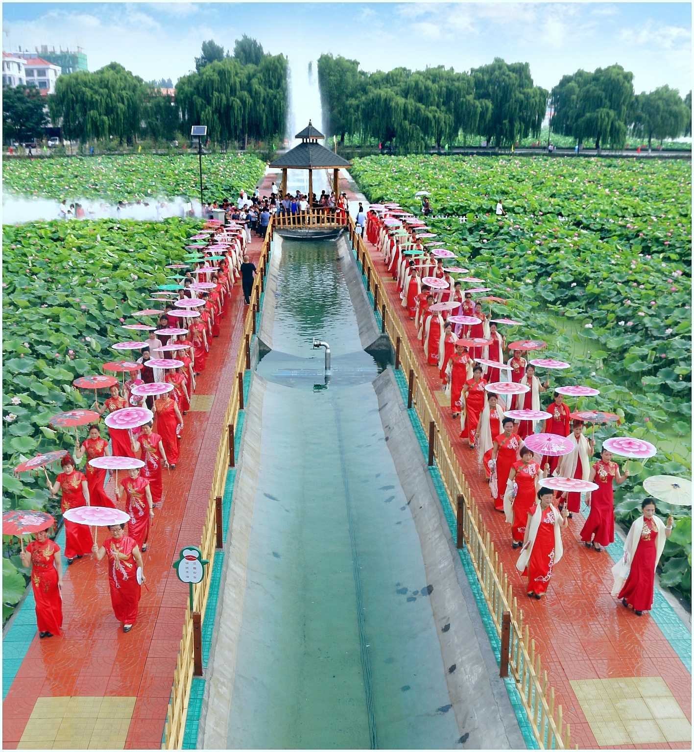 白云湖畔荷花节凝装旗袍展风采