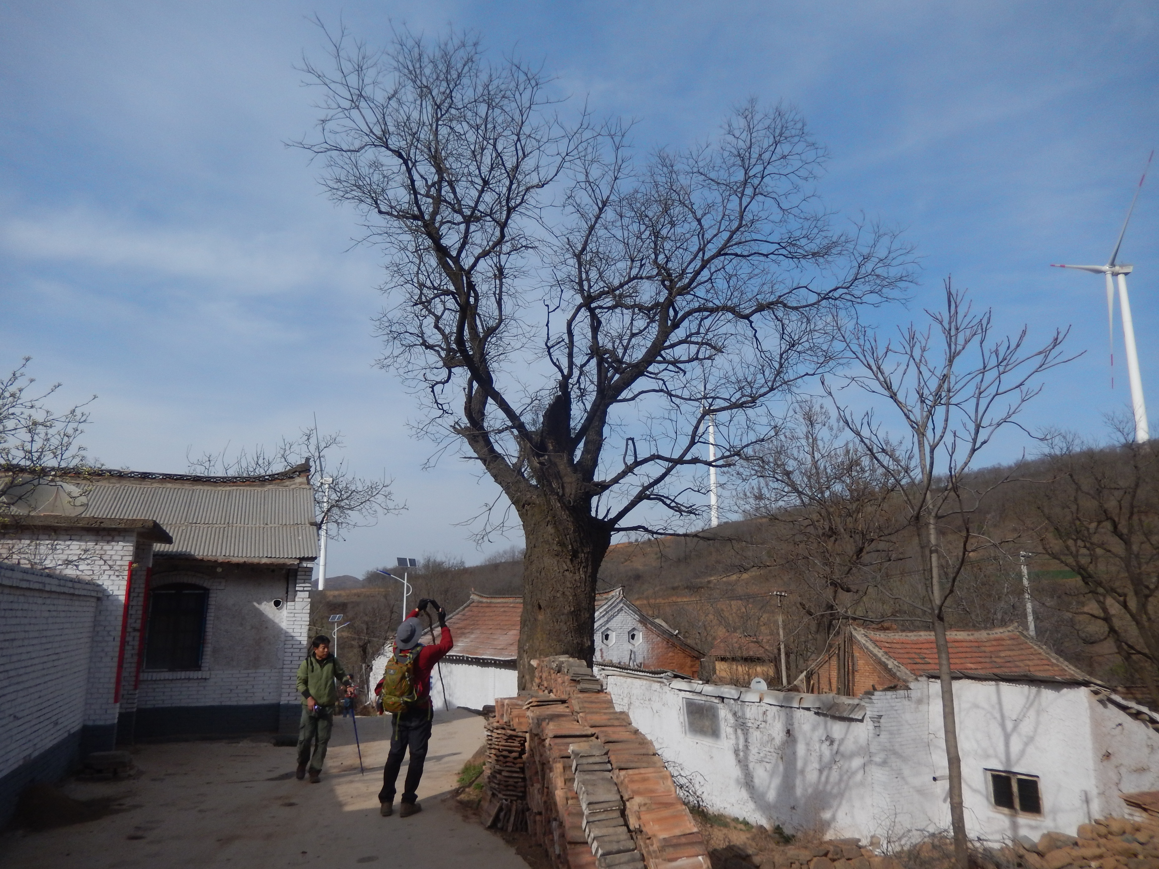 徒步穿越东沟村—上宫寺—双庙河花絮