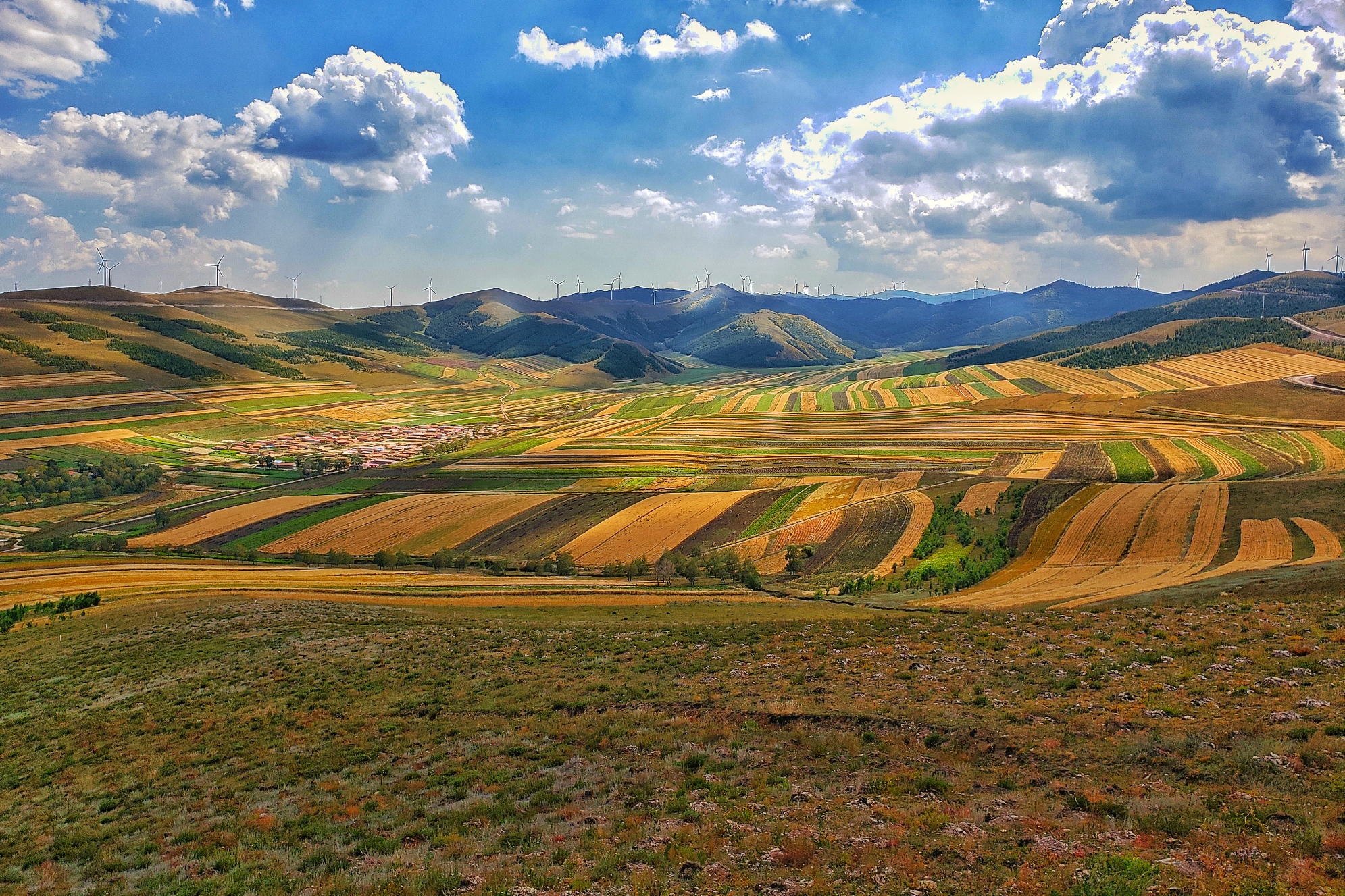一说到坝上草原,好多人都会想到围场,丰宁,张北,其实沽源