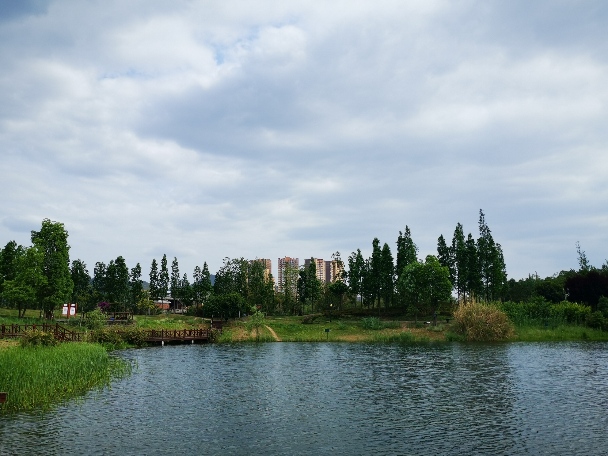 洛川西沟湿地公园图片